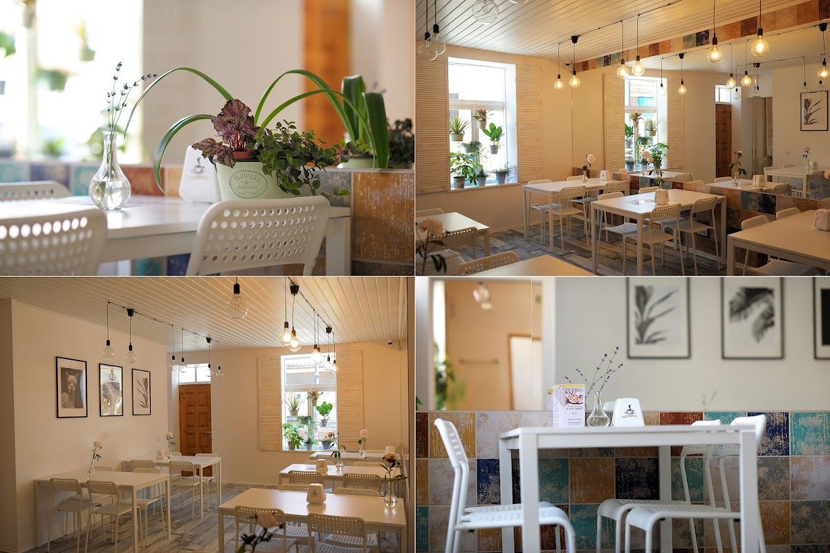 Picų Namelis Telšiai